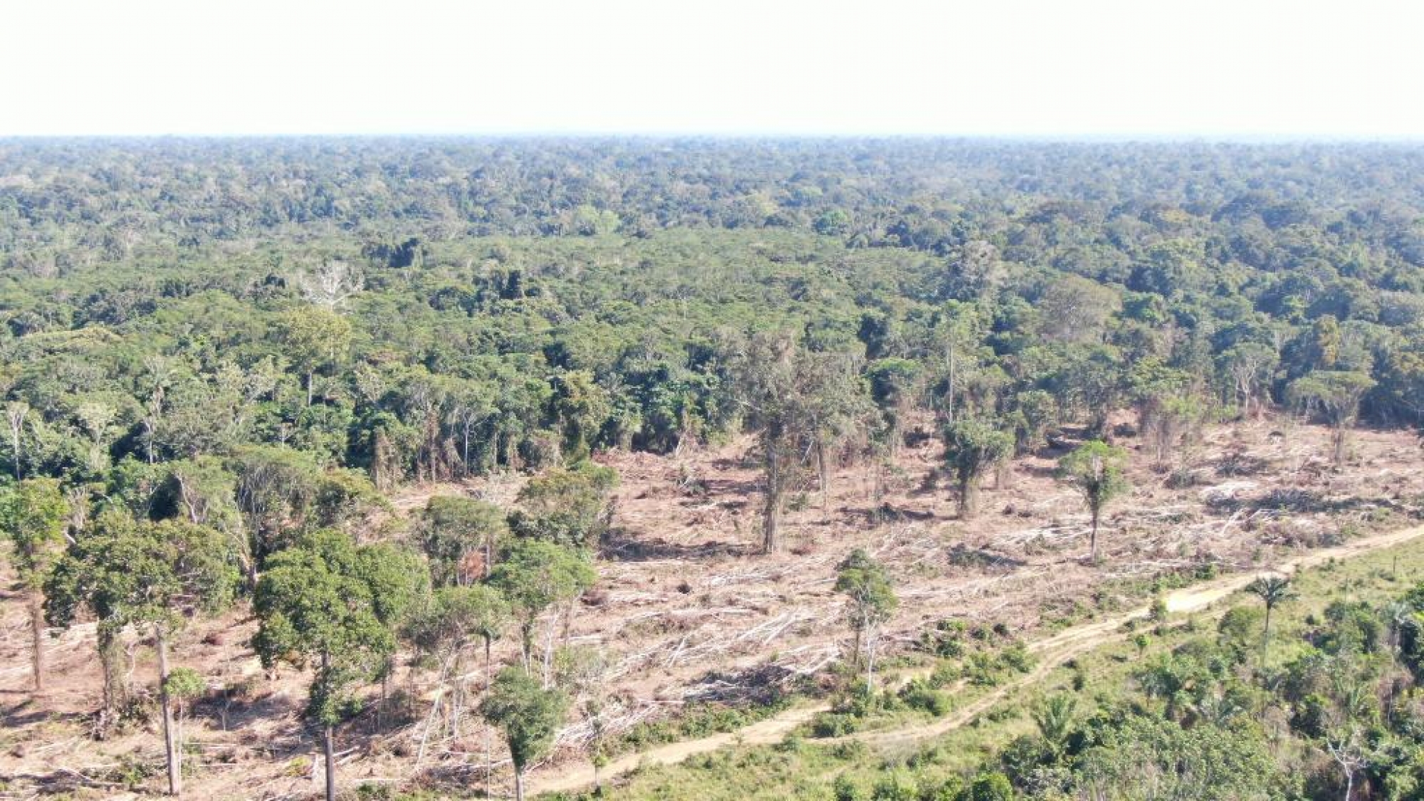 Sema realiza operação de combate ao desmatamento ilegal e aplica R$ 3,7 milhões em multas