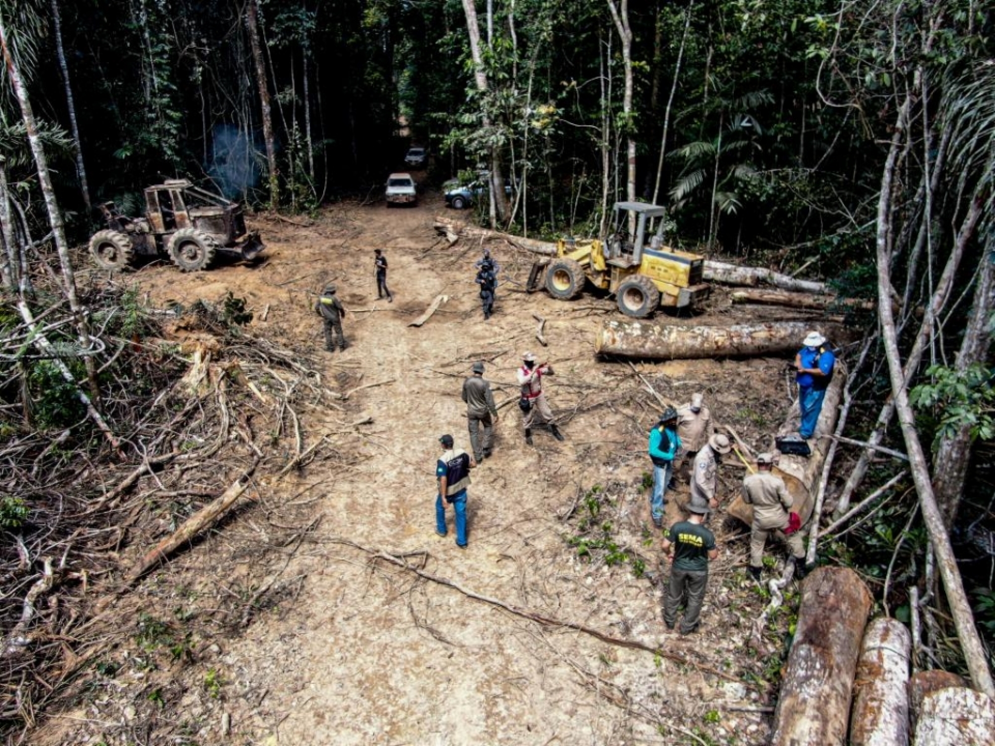 Proposta de lei prestes a ser aprovada pela Assembleia Legislativa dá anistia a desmatadores em Mato Grosso