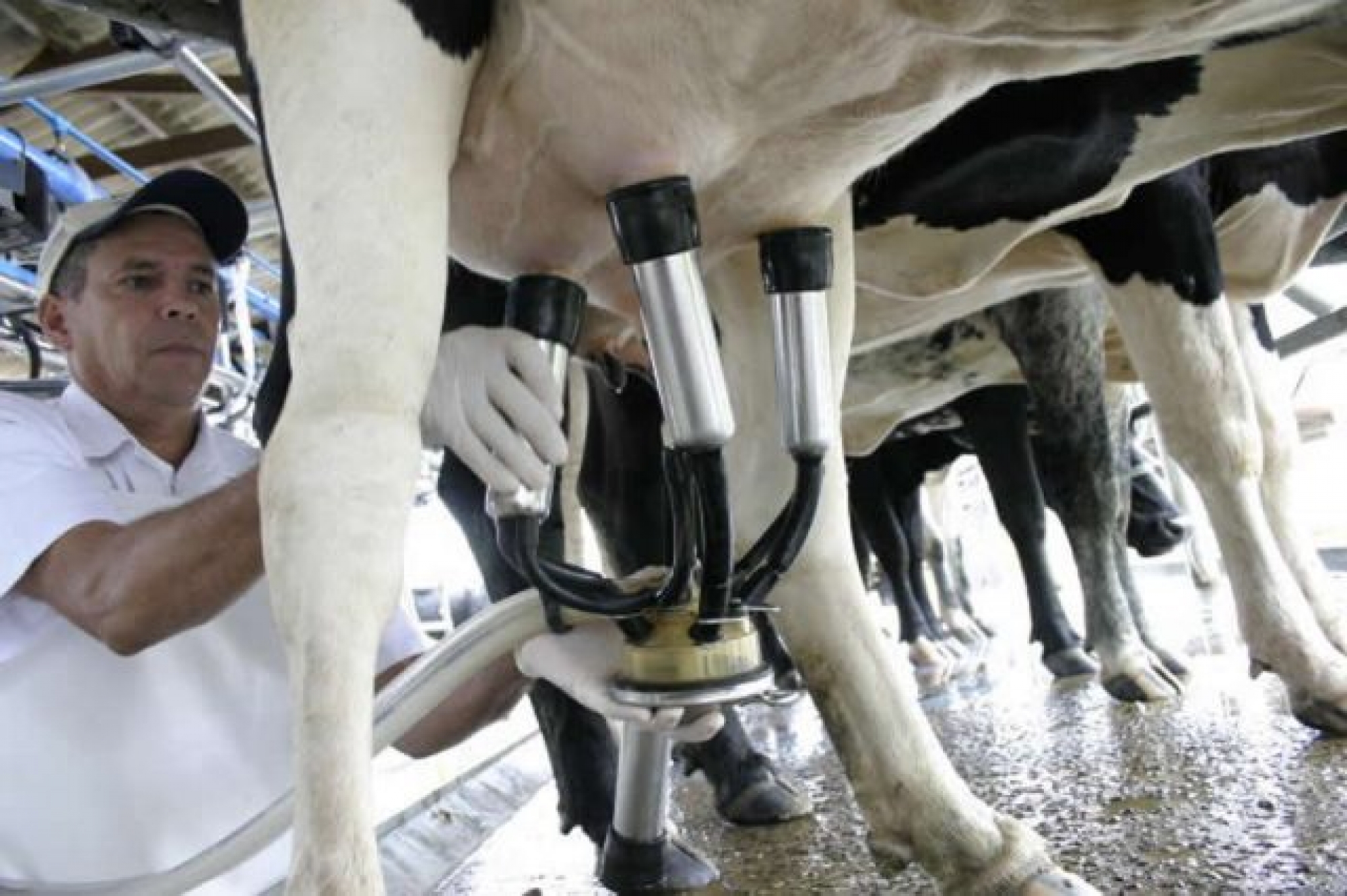 Aprovado desconto na conta de luz para os produtores