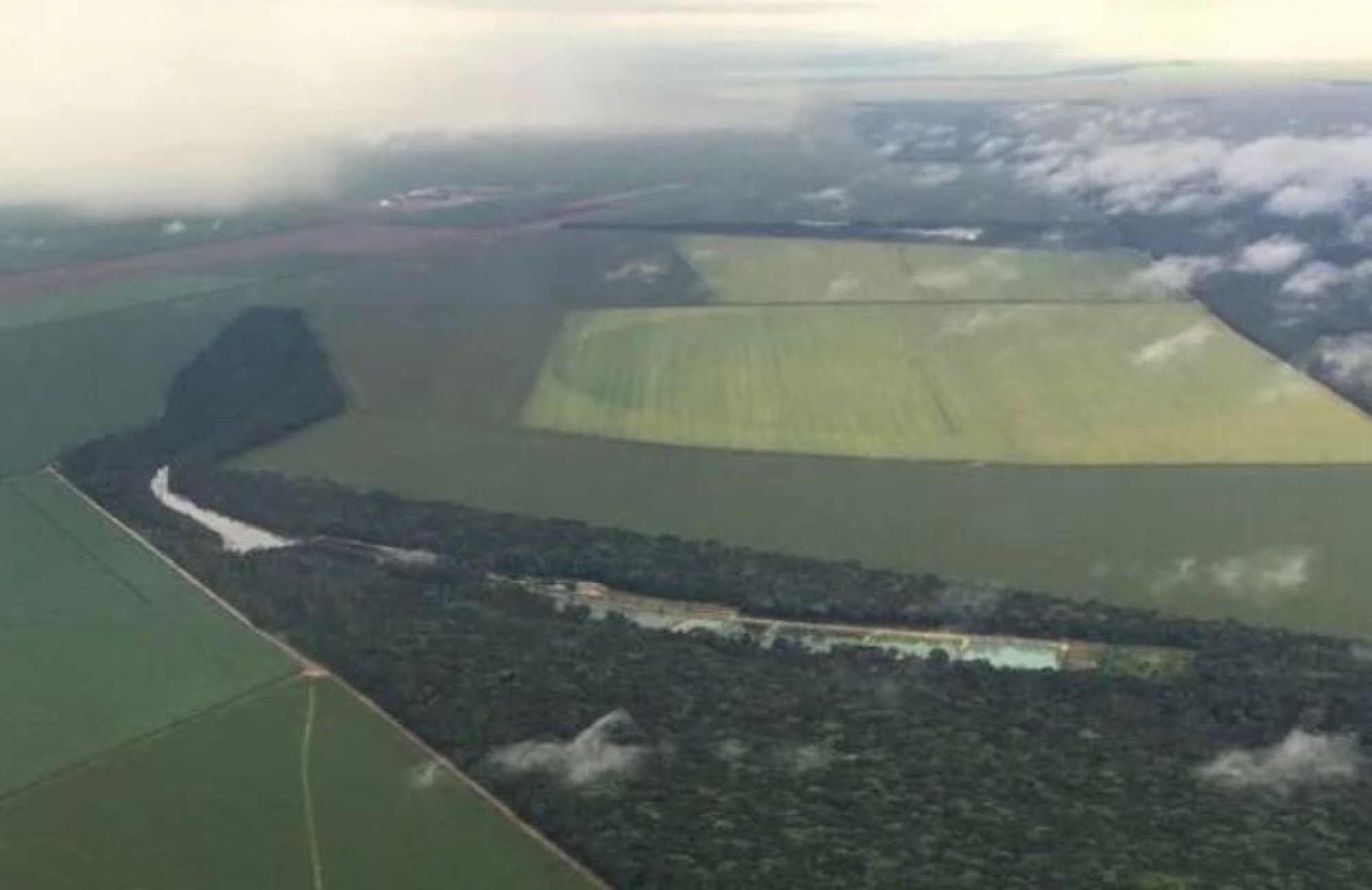 Governo lança operação contra desmatamento na Amazônia