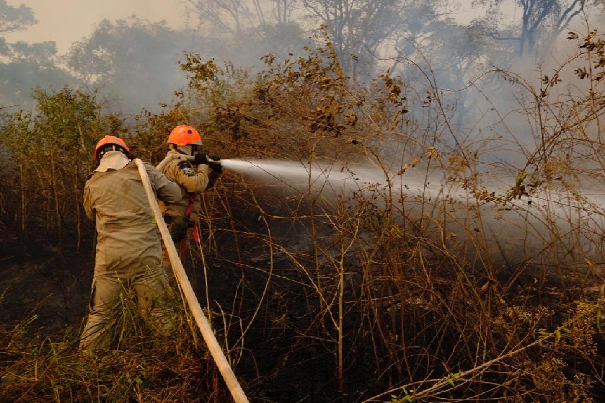 Período proibitivo do uso do fogo em Mato Grosso vai de 1º de julho a 30 de outubro