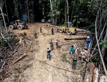 Proposta de lei prestes a ser aprovada pela Assembleia Legislativa dá anistia a desmatadores em Mato Grosso