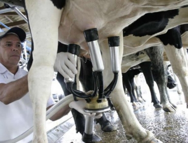 Aprovado desconto na conta de luz para os produtores