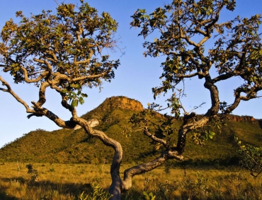 Processo e responsabilidade ambiental