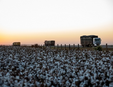 Em 1º lugar do país há 4 anos, MT alcança valor bruto agropecuário de R$ 193 bi