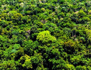 Mato Grosso reduz em 22% alertas de desmatamento nos últimos 6 meses