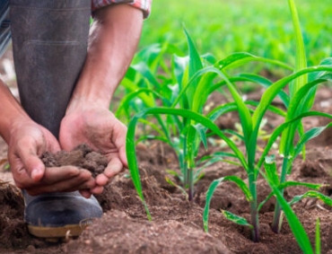 Governo federal vai lançar pacote de crédito agrícola