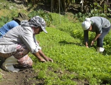 Governo e FAO preparam lançamento do Observatório das Mulheres Rurais