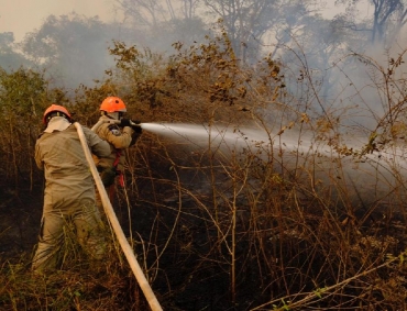 Período proibitivo do uso do fogo em Mato Grosso vai de 1º de julho a 30 de outubro