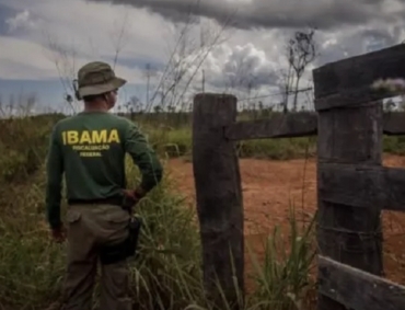 Entra em vigor redução de até 90% nas multas ambientais no Mato Grosso